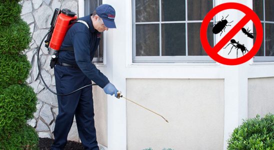 Olur Akrep İlaçlama böcek ilaçlama ve haşere kontrolü — ilaclama-tr.com